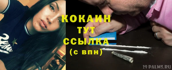 стаф Беломорск