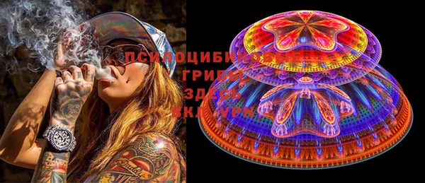 ПСИЛОЦИБИНОВЫЕ ГРИБЫ Баксан