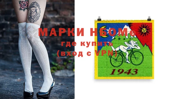 ПСИЛОЦИБИНОВЫЕ ГРИБЫ Баксан