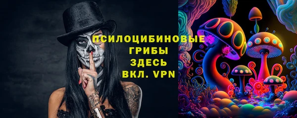 гашик Белокуриха