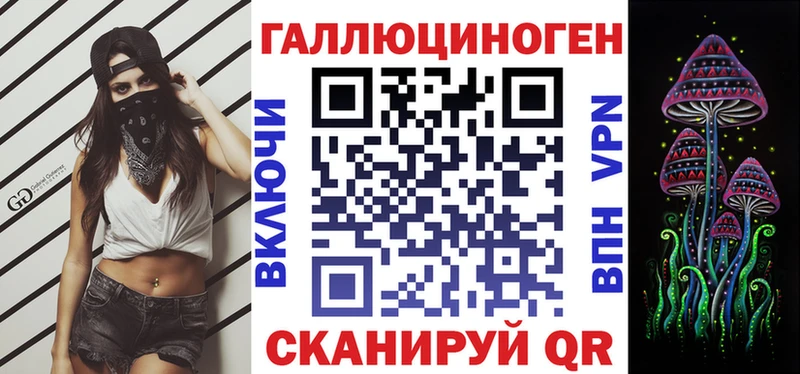 где купить   Георгиевск  Галлюциногенные грибы MAGIC MUSHROOMS 